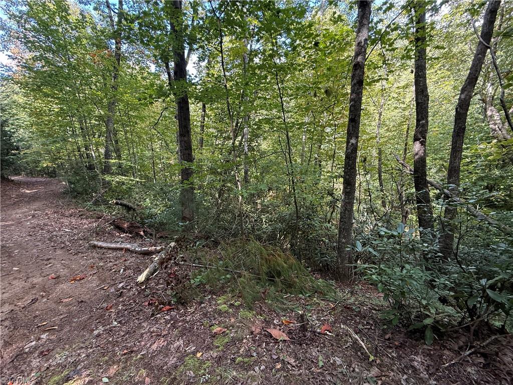 Tbd Casey Mountain Road Property Photo 14