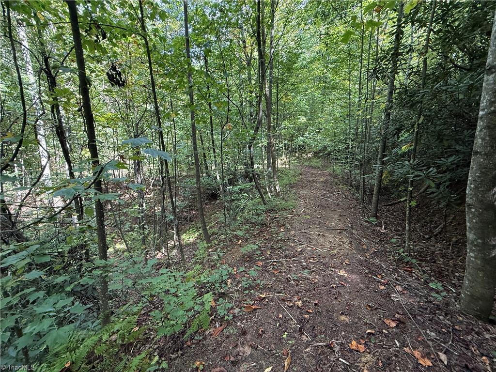 Tbd Casey Mountain Road Property Photo 15