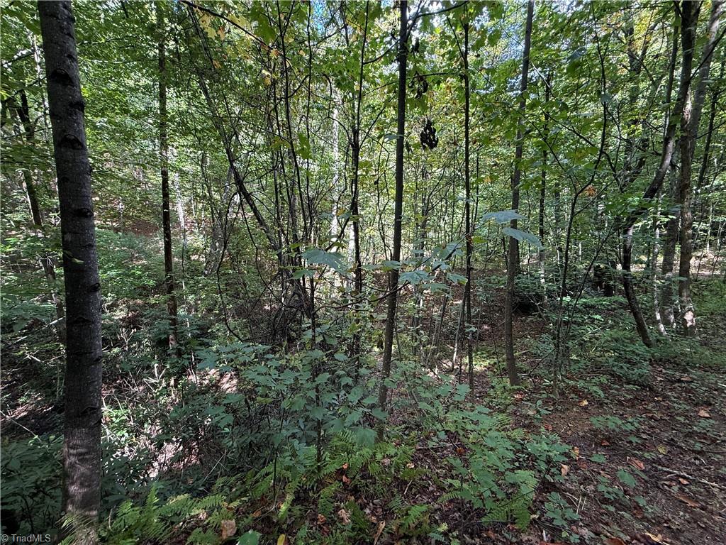 Tbd Casey Mountain Road Property Photo 16