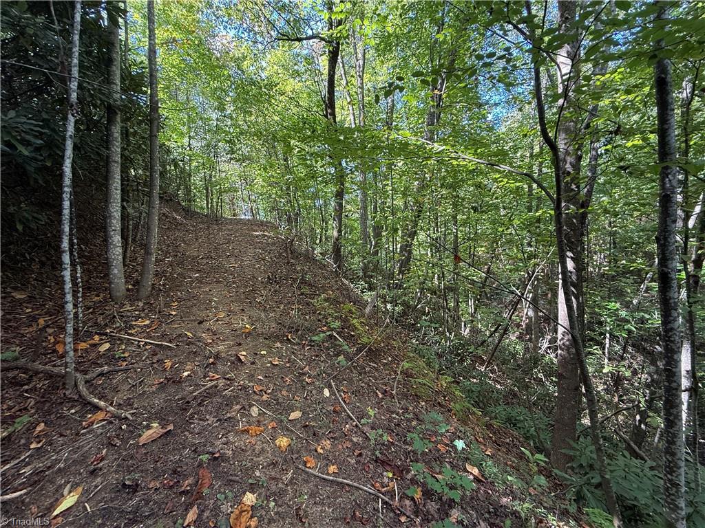 Tbd Casey Mountain Road Property Photo 17
