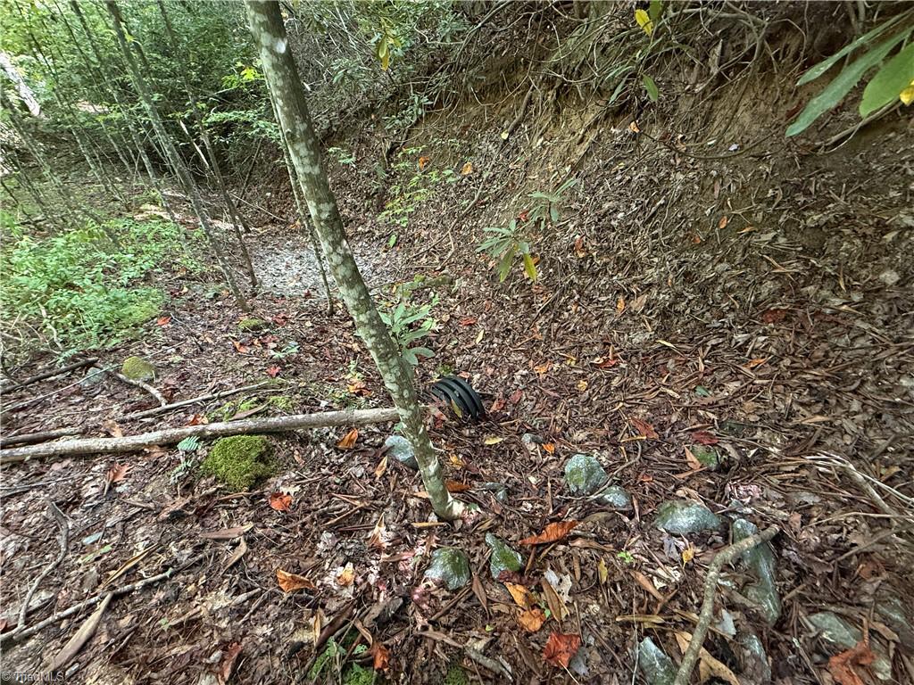 Tbd Casey Mountain Road Property Photo 18