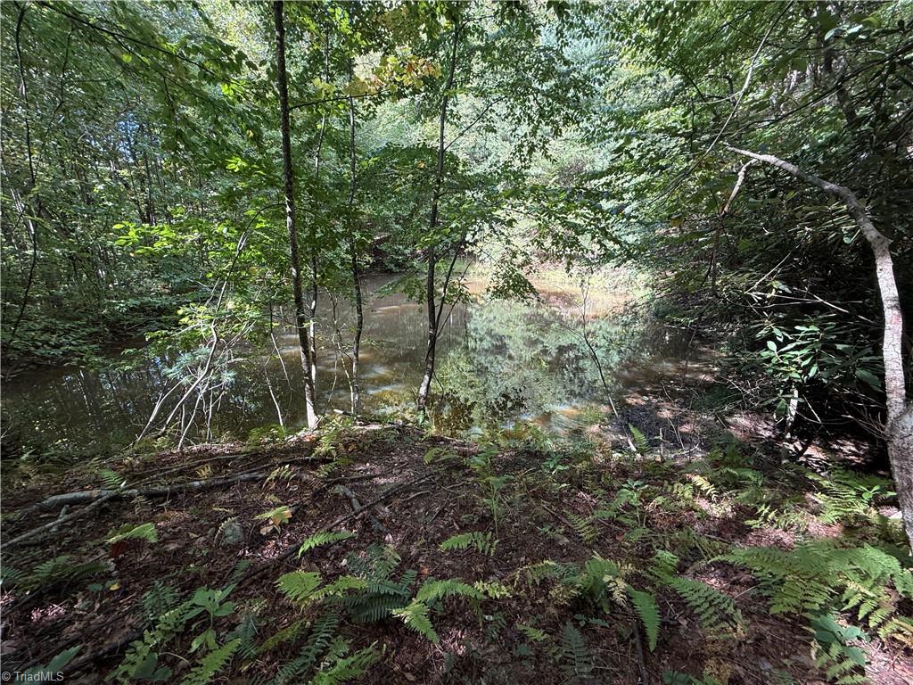Tbd Casey Mountain Road Property Photo 19