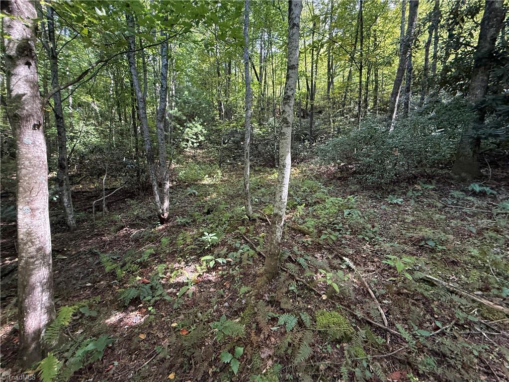 Tbd Casey Mountain Road Property Photo 20