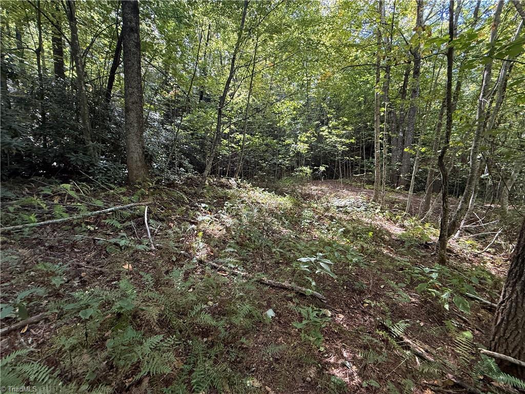 Tbd Casey Mountain Road Property Photo 21