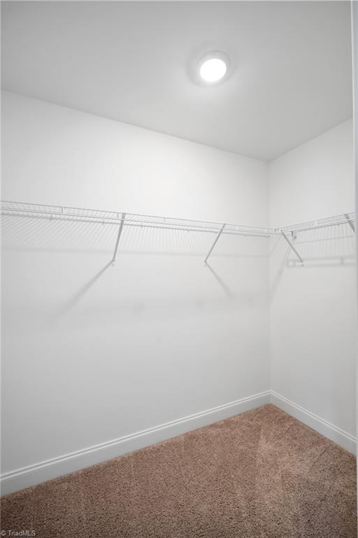 163 Phoenix Court Property Photo 37