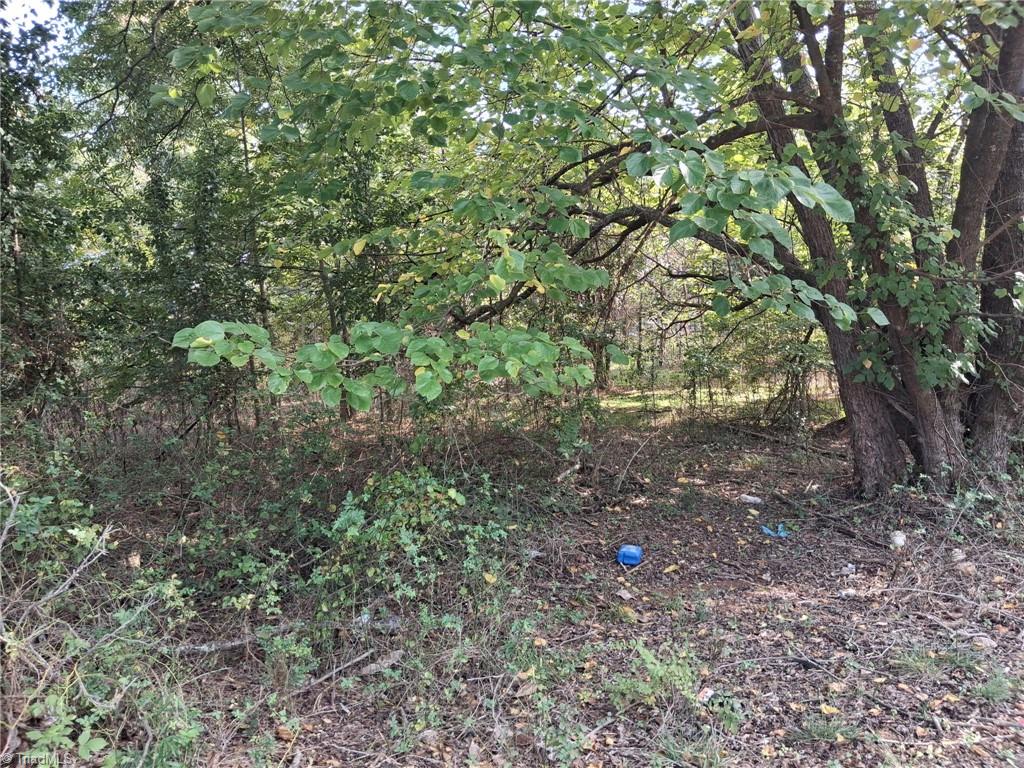 200 Oakland Avenue Property Photo 1