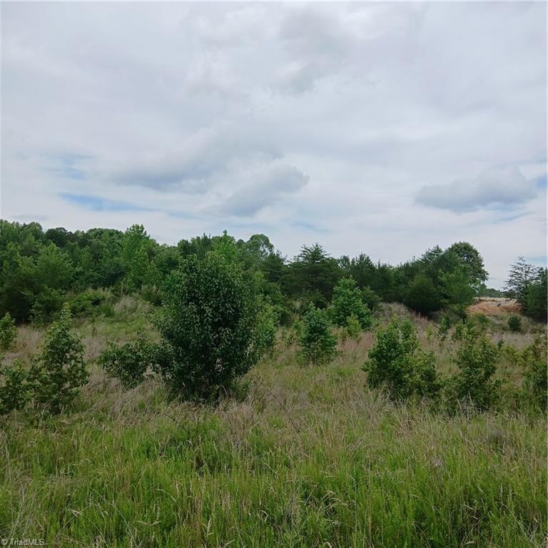 1133 Springfield Road Property Photo 1