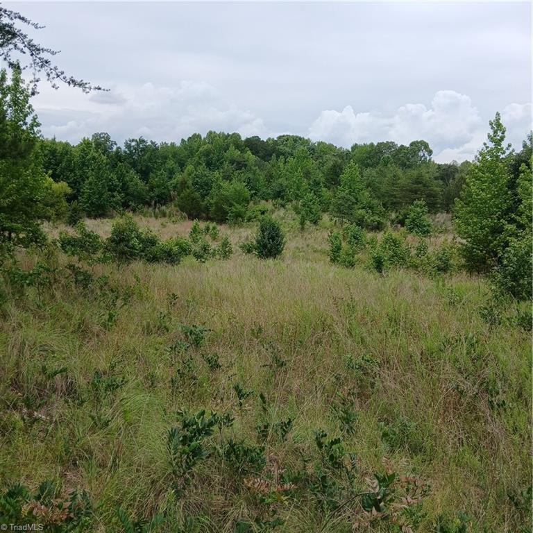 1133 Springfield Road Property Photo 2