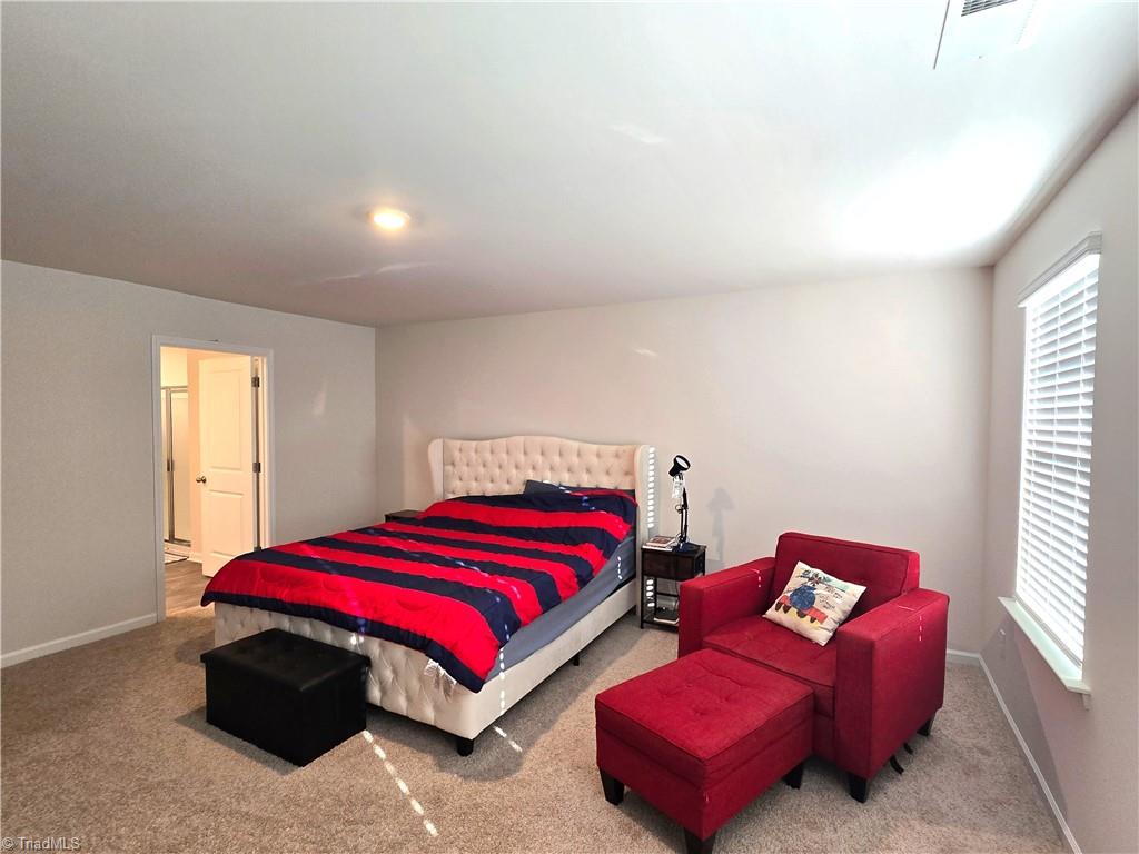 164 Bunting Drive Property Photo 12