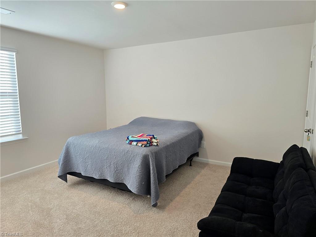 164 Bunting Drive Property Photo 16
