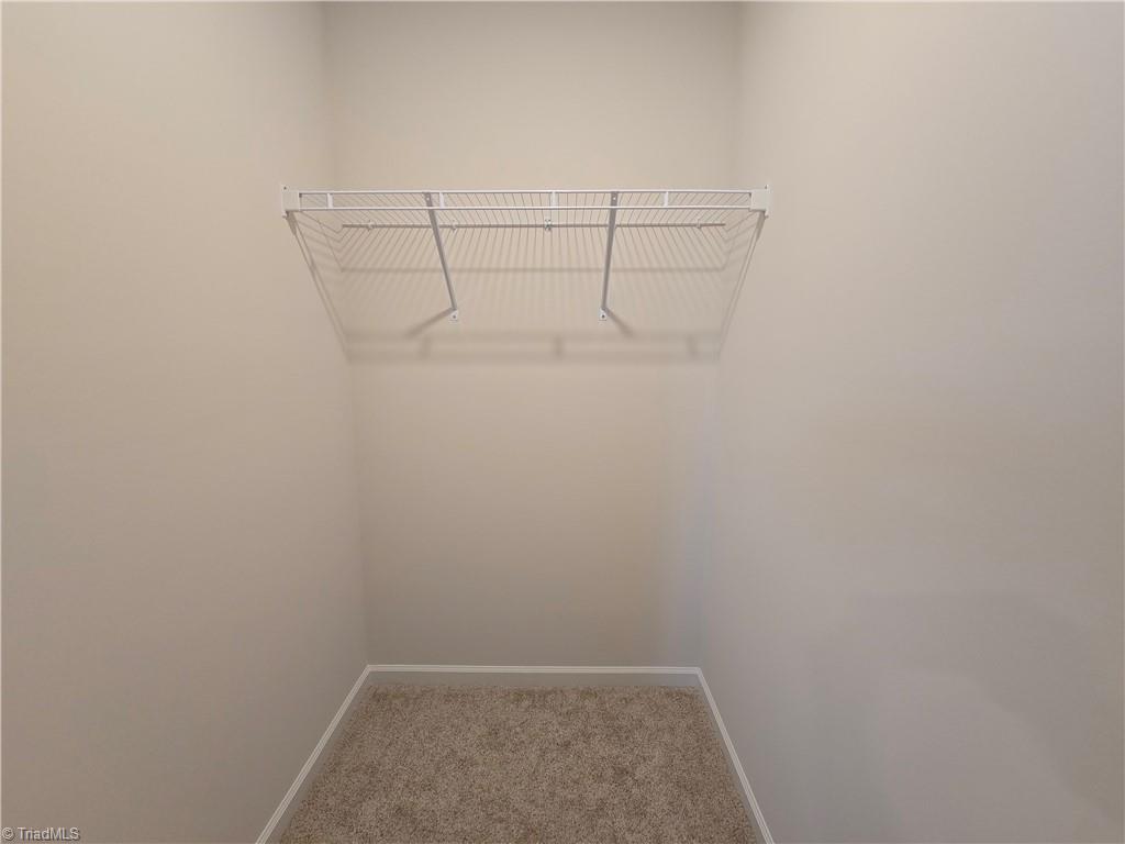 164 Bunting Drive Property Photo 19