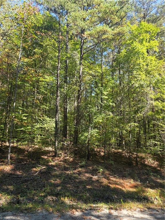 00 Power Dam Road Property Photo 1