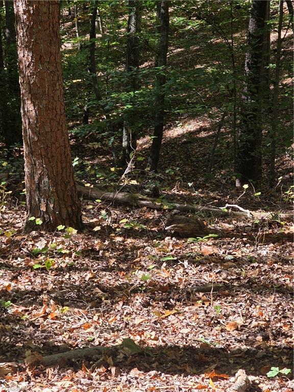 00 Power Dam Road Property Photo 5