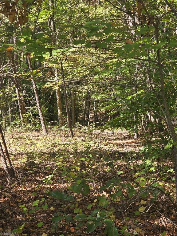00 Power Dam Road Property Photo 6