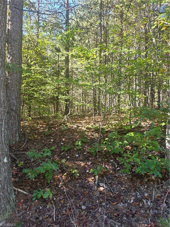 00 Power Dam Road Property Photo 7