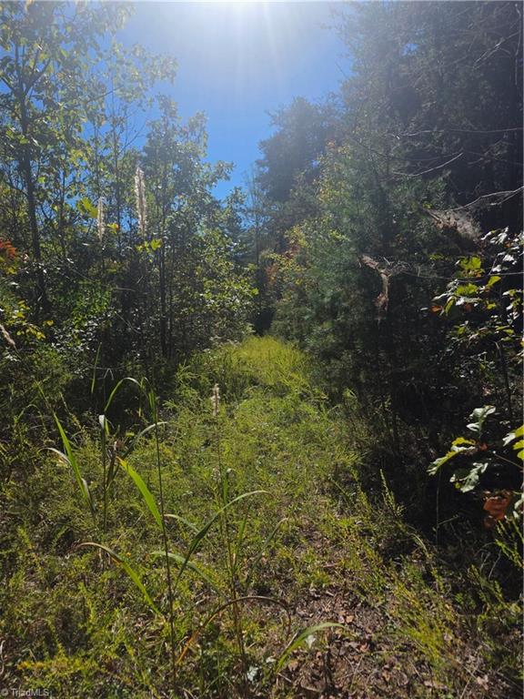 00 Power Dam Road Property Photo 8
