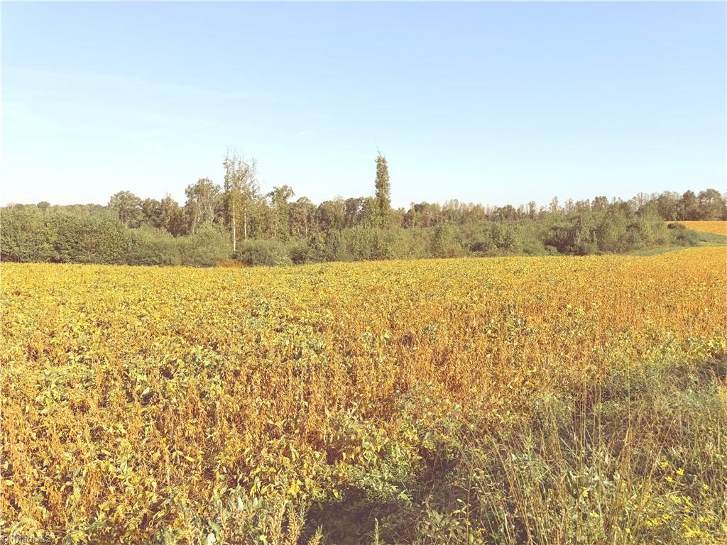 Lot 2 Eldora Road Property Photo 10
