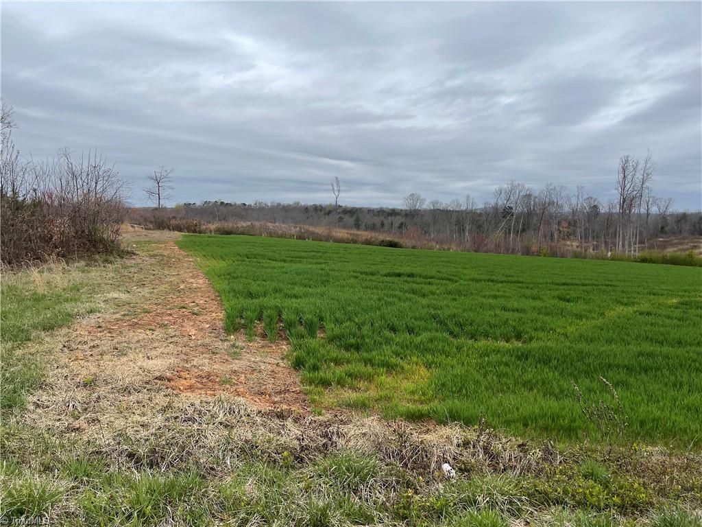 Lot 3 Eldora Road Property Photo 3