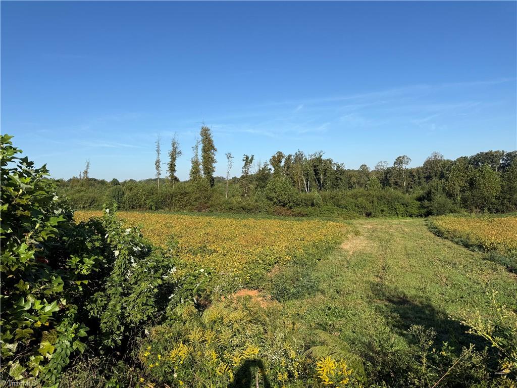 Lot 3 Eldora Road Property Photo 8