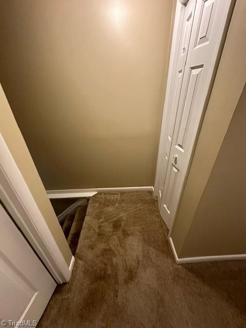 5514 Richland Street # D Property Photo 9