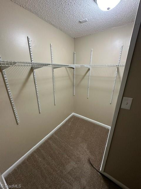 5514 Richland Street # D Property Photo 15