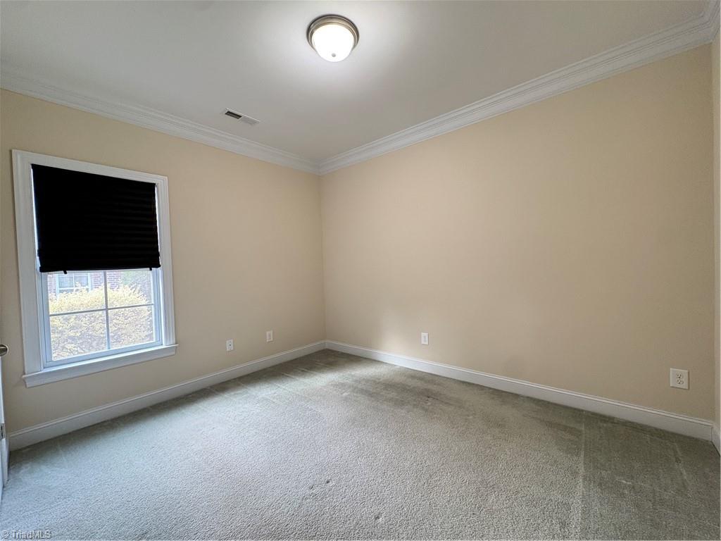204 Friedberg Village Drive Property Photo 15
