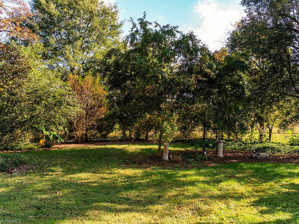 5339 Groometown Road Property Photo 14