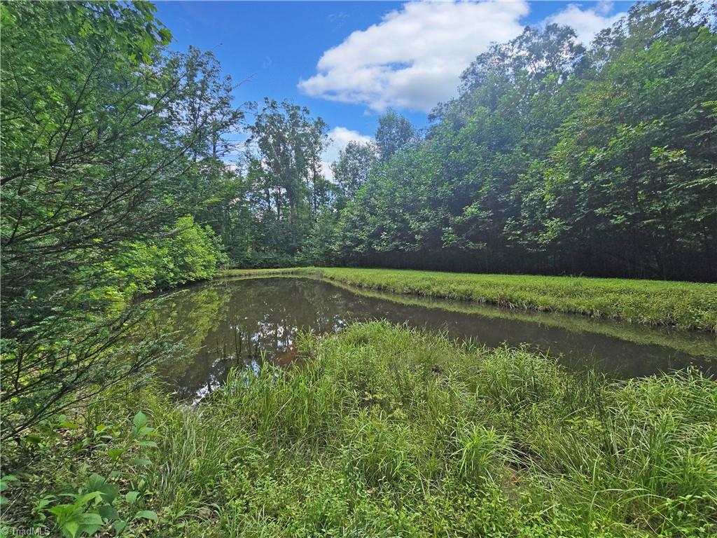 13641 Traphill Road Property Photo 34