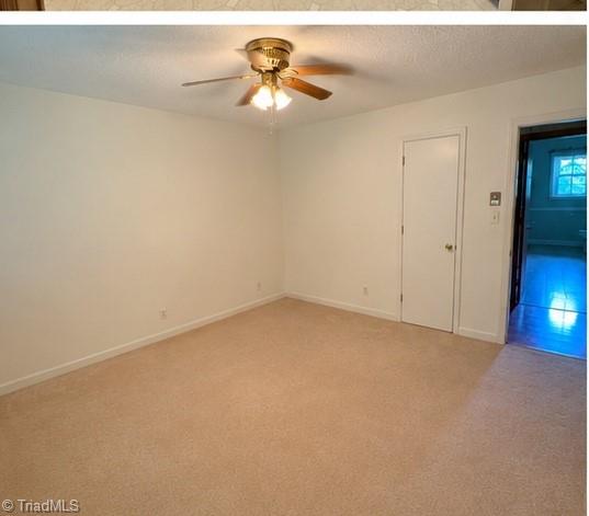973 Burton Road Property Photo 12