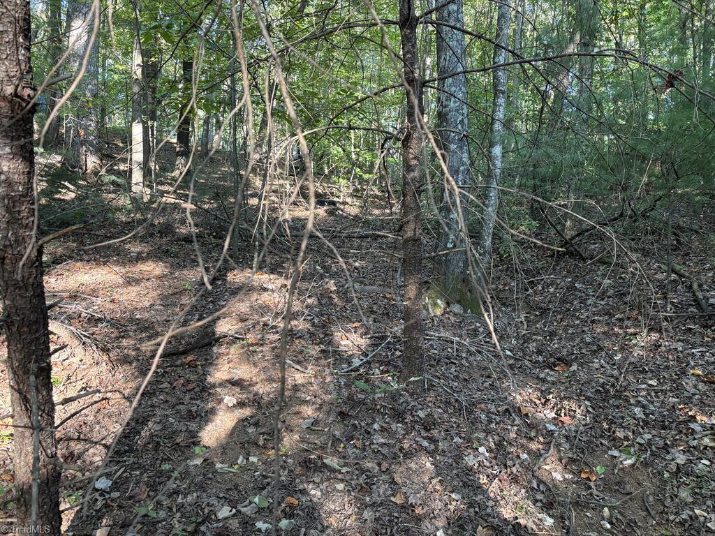 00 Smith Lane Property Photo 3