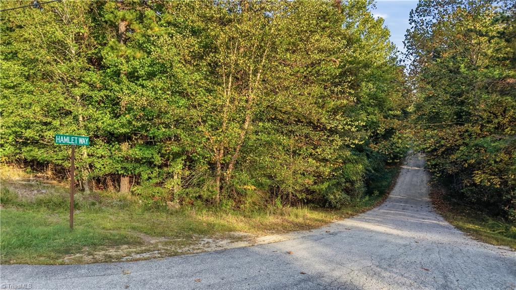 133 Hamlet Way