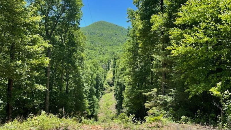 1629 White Rock Road Property Photo 1