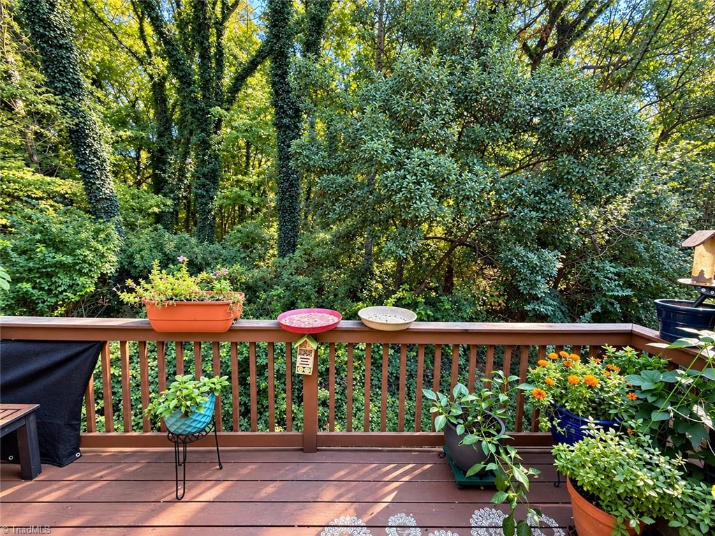 10 Cedar Creek Property Photo 18