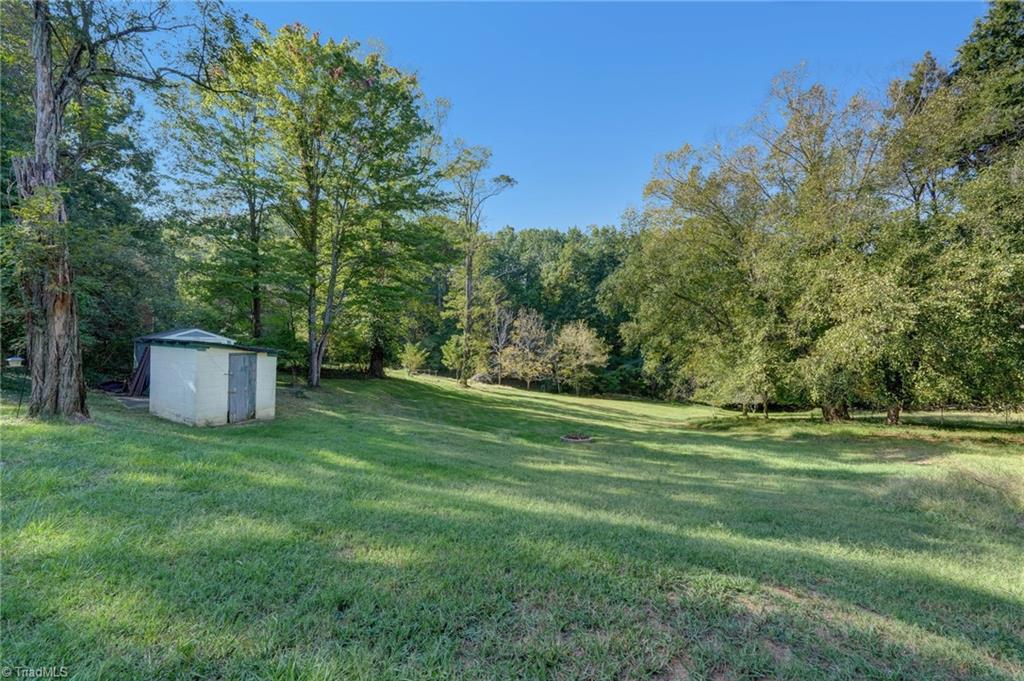 598 Nc Highway 65 Property Photo 36