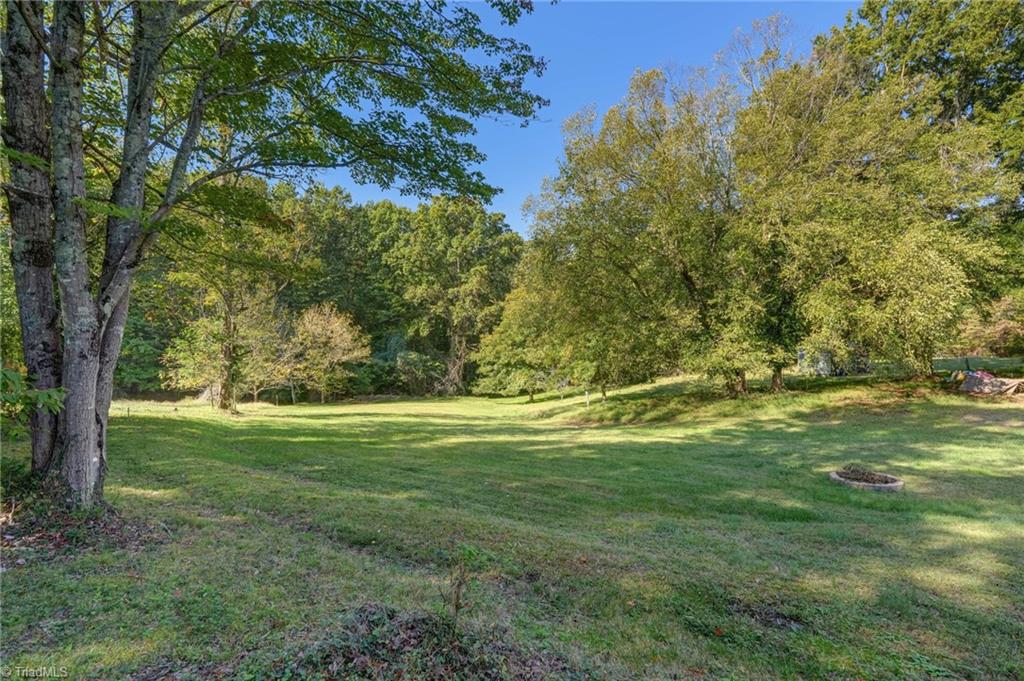 598 Nc Highway 65 Property Photo 38