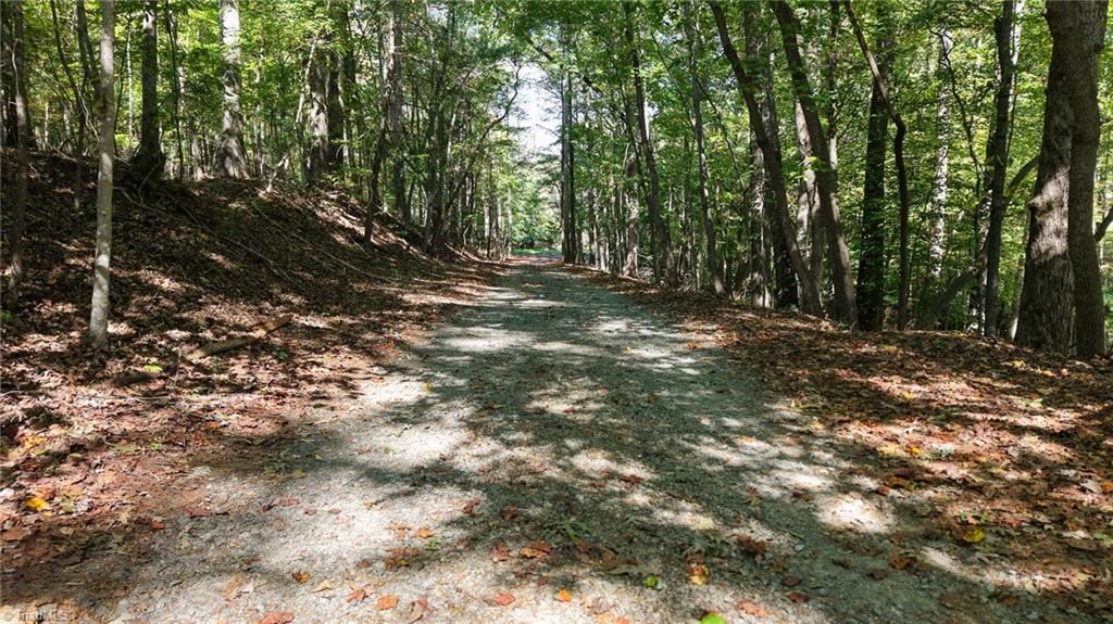 Tbd Woodland Drive Property Photo 1