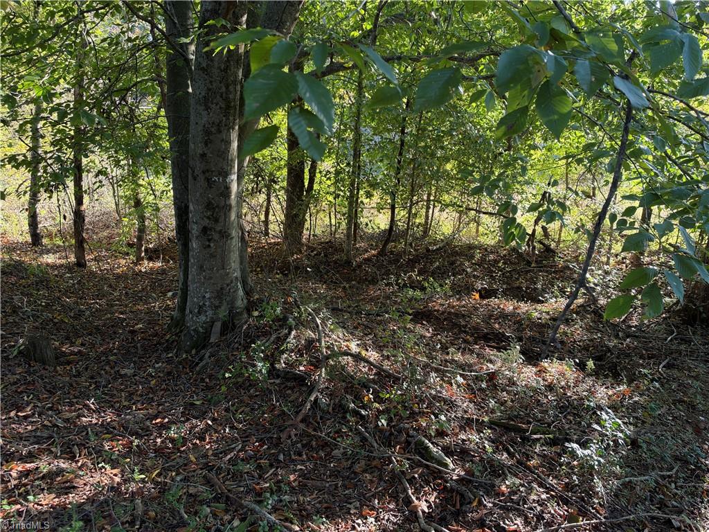 2211 High Rock Road Property Photo 4