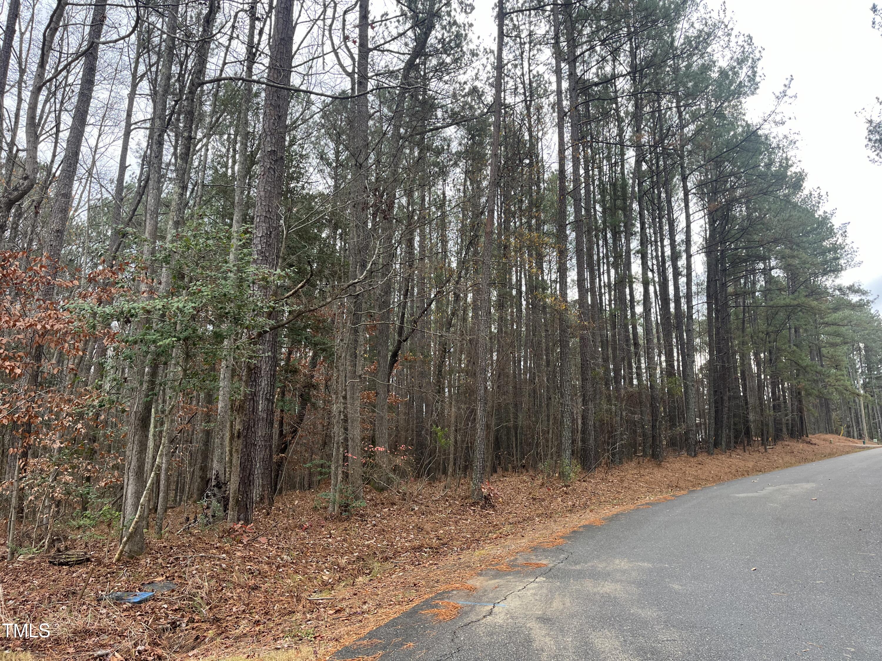 160 Horseman Drive Property Photo 1