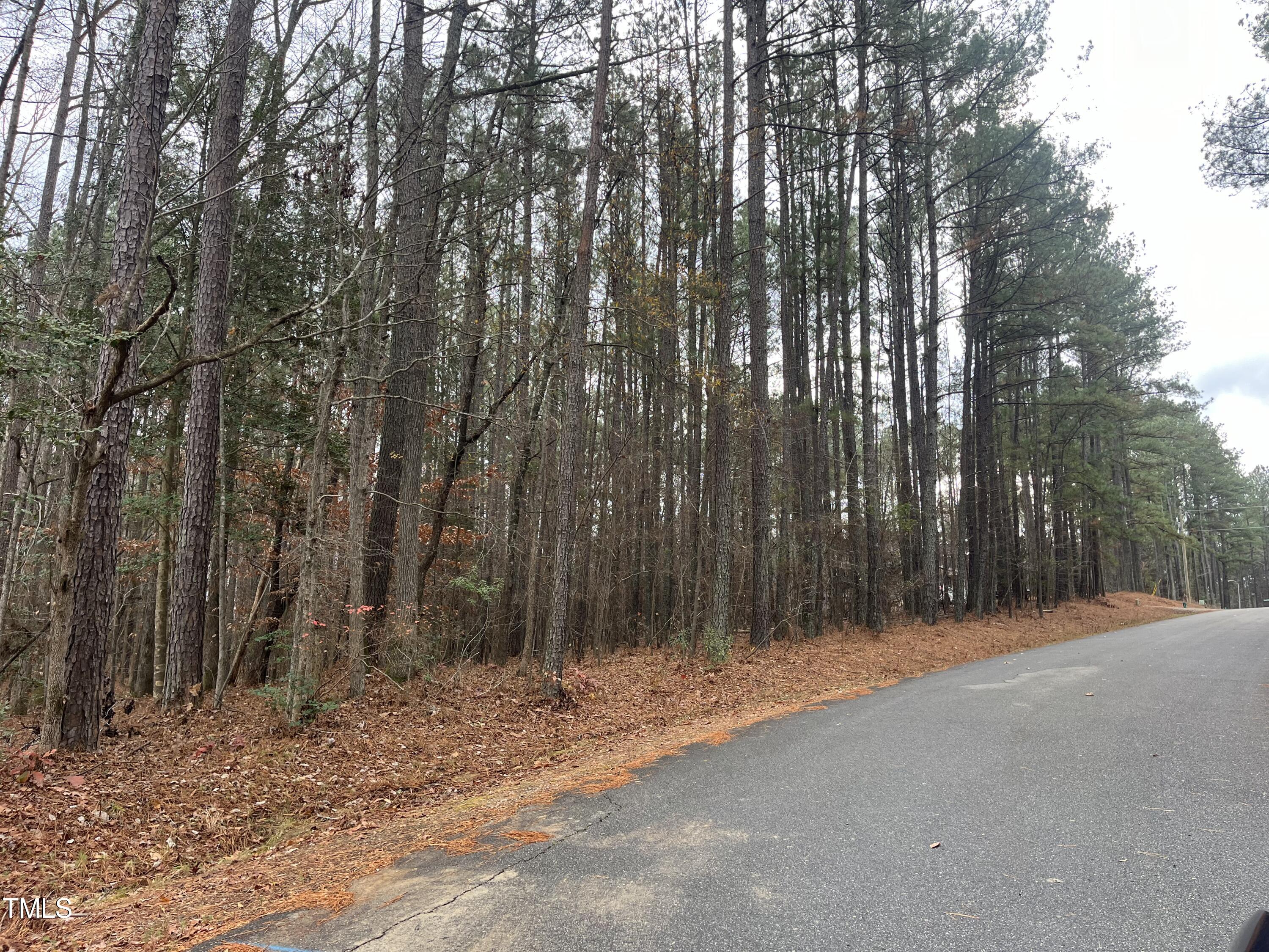 160 Horseman Drive Property Photo 2