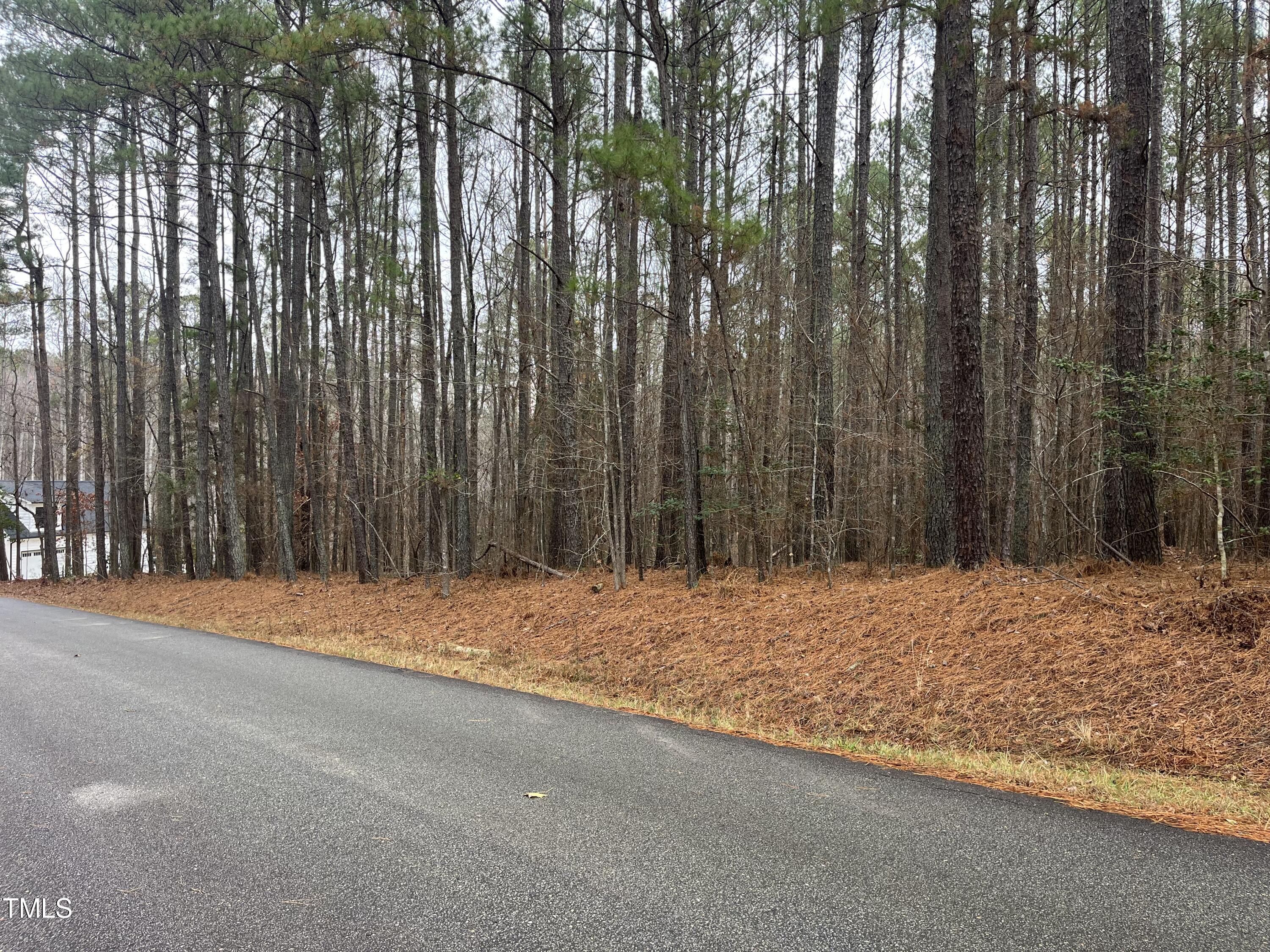160 Horseman Drive Property Photo 3