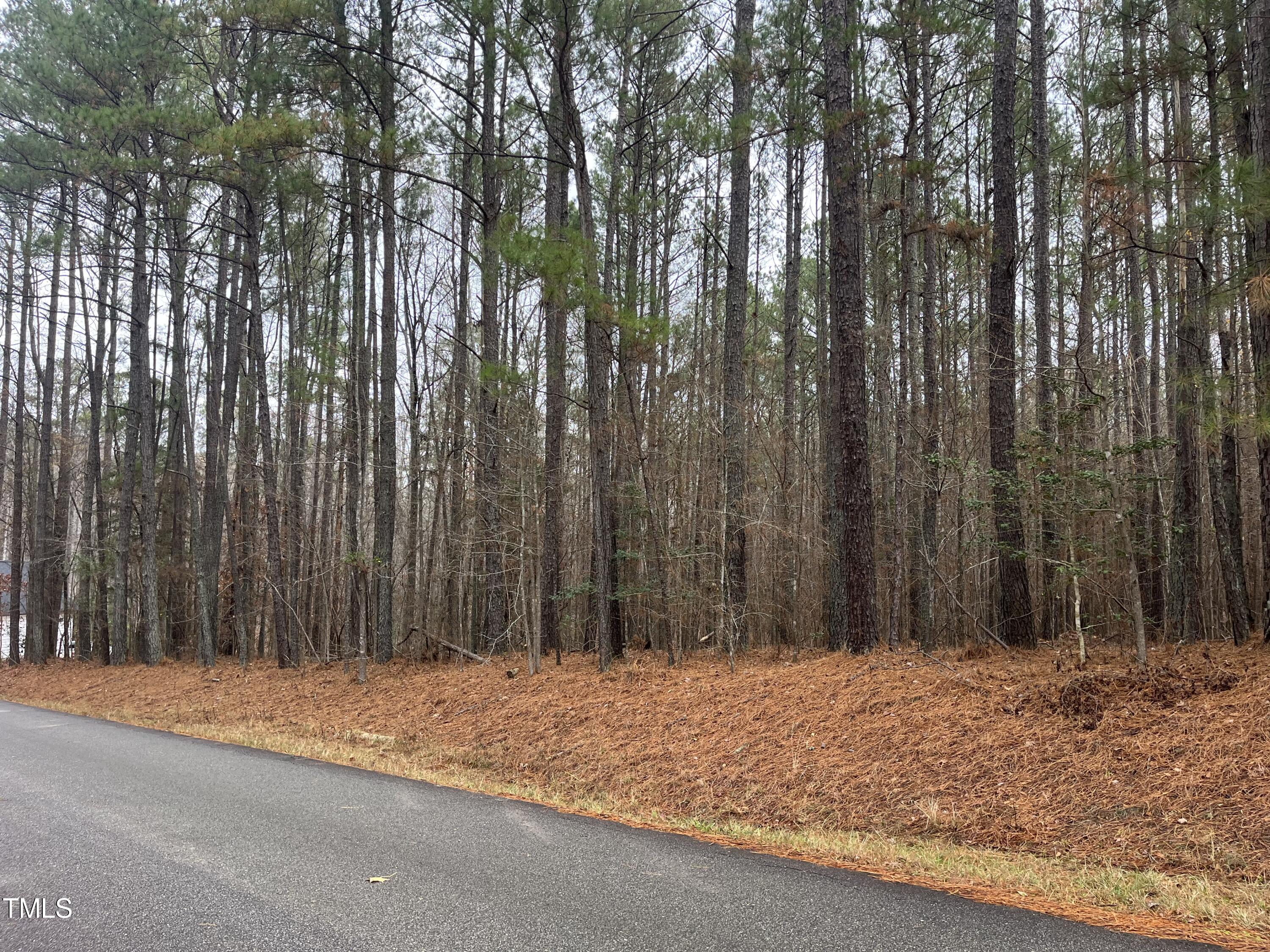 160 Horseman Drive Property Photo 4