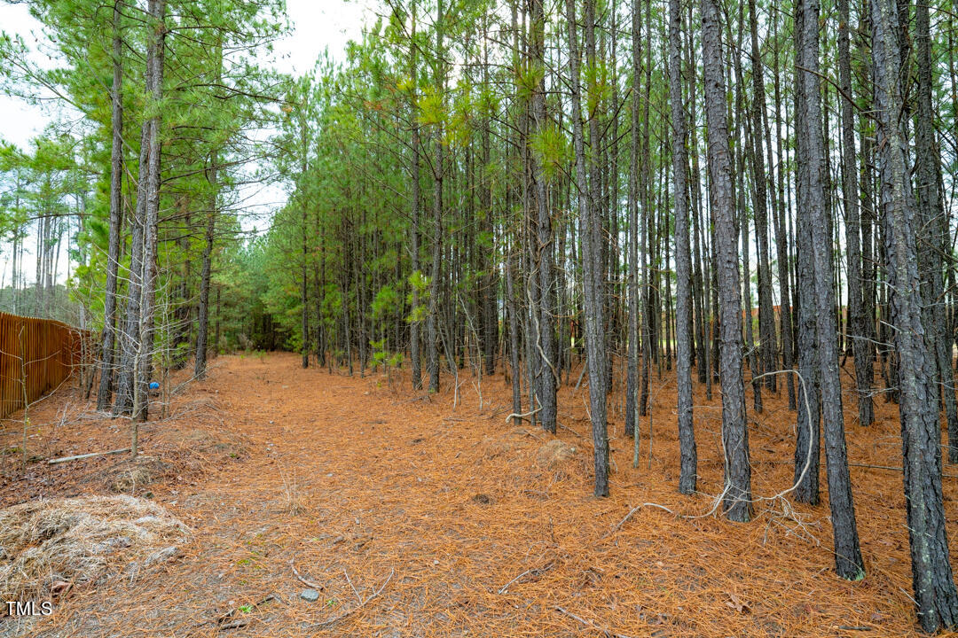 3615 Freeman Road Property Photo 4