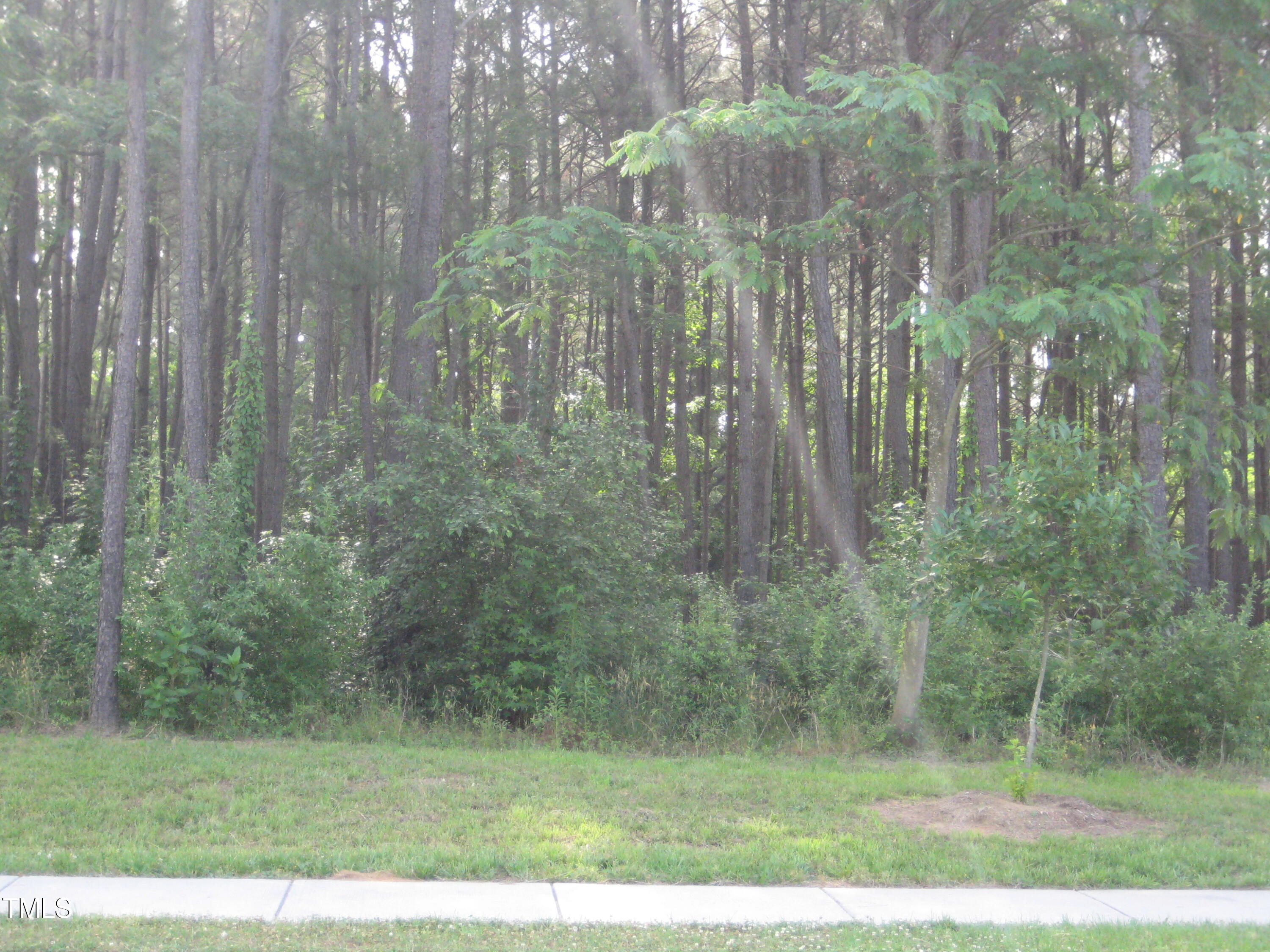 0 Us Hwy 1 Property Photo 1