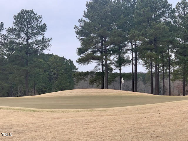 1270 Golfers View Property Photo 11