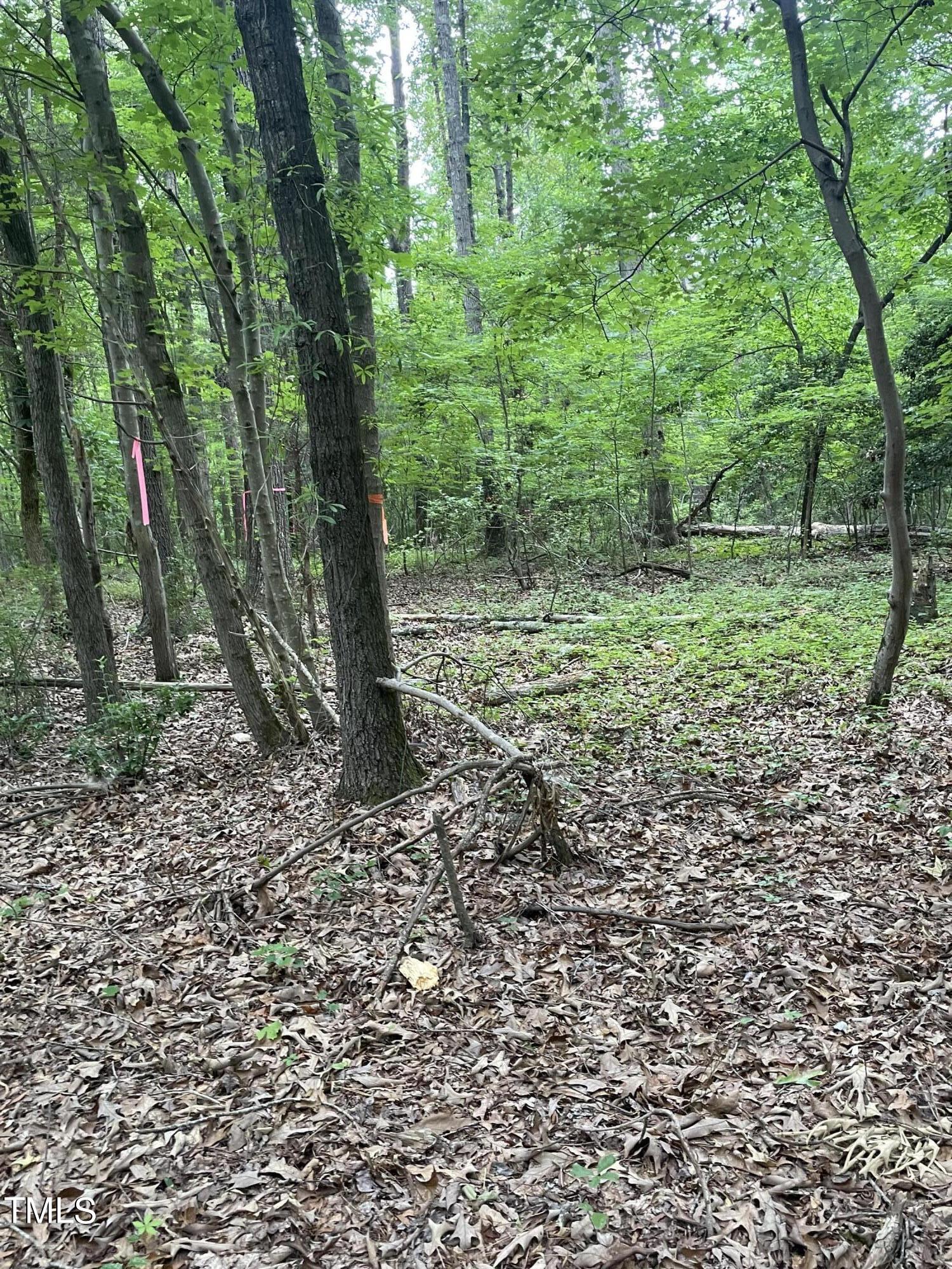 5982 Pleasant Hill Church Road Property Photo 3