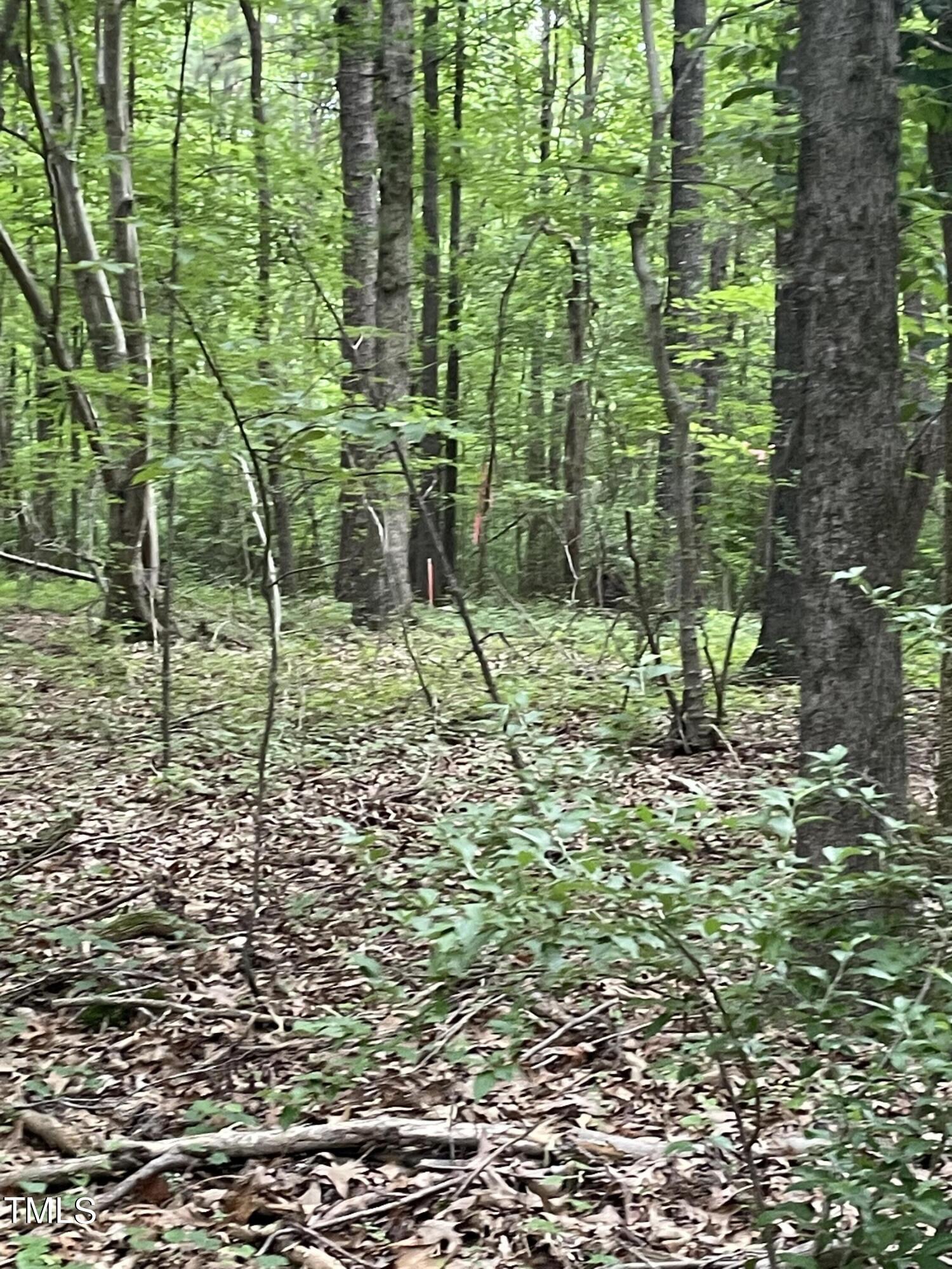 5982 Pleasant Hill Church Road Property Photo 4