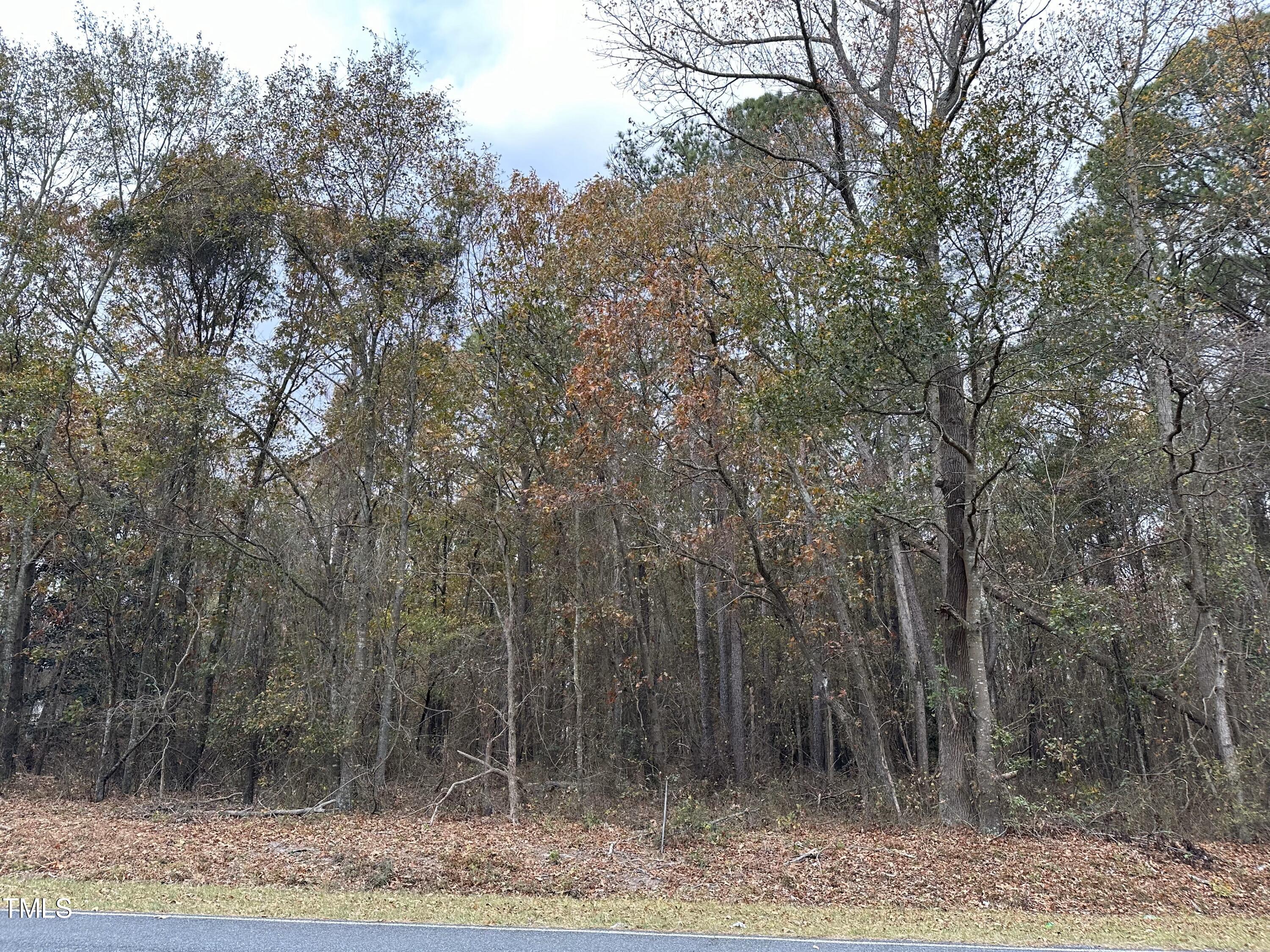 0 Hwy 96 Property Photo 2