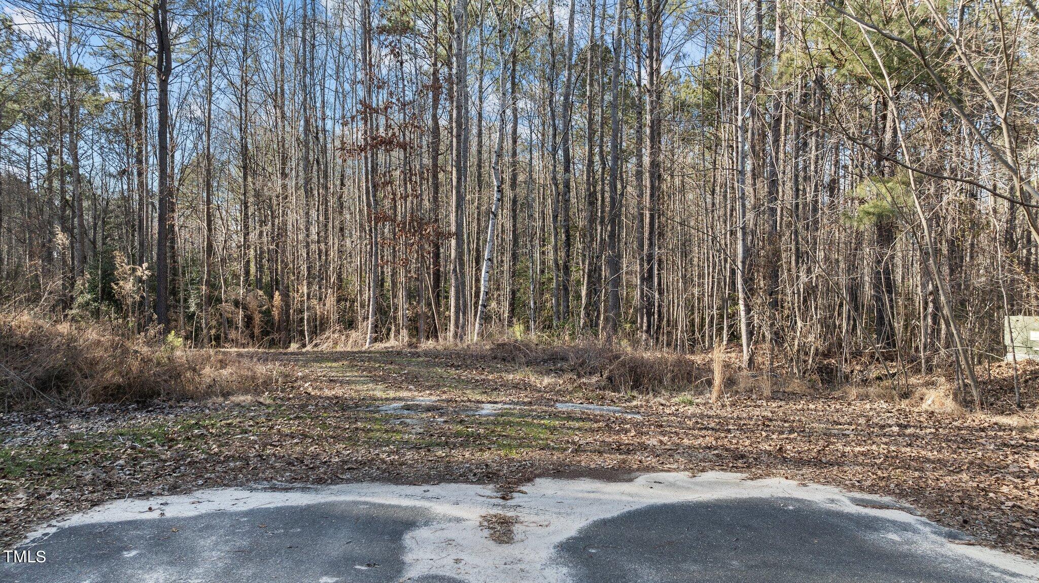 43.76 Acre Huntsburg Drive Property Photo 2