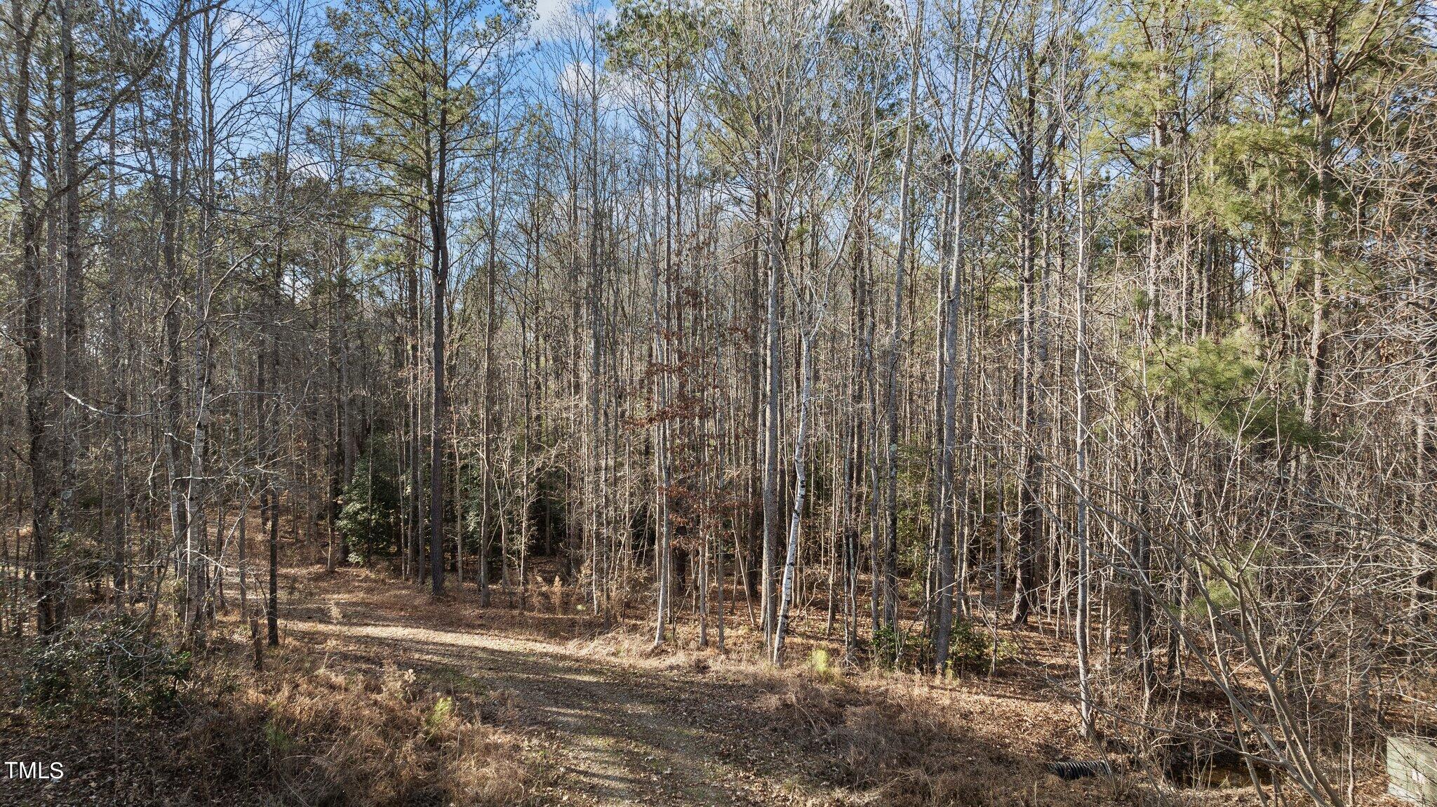 43.76 Acre Huntsburg Drive Property Photo 3