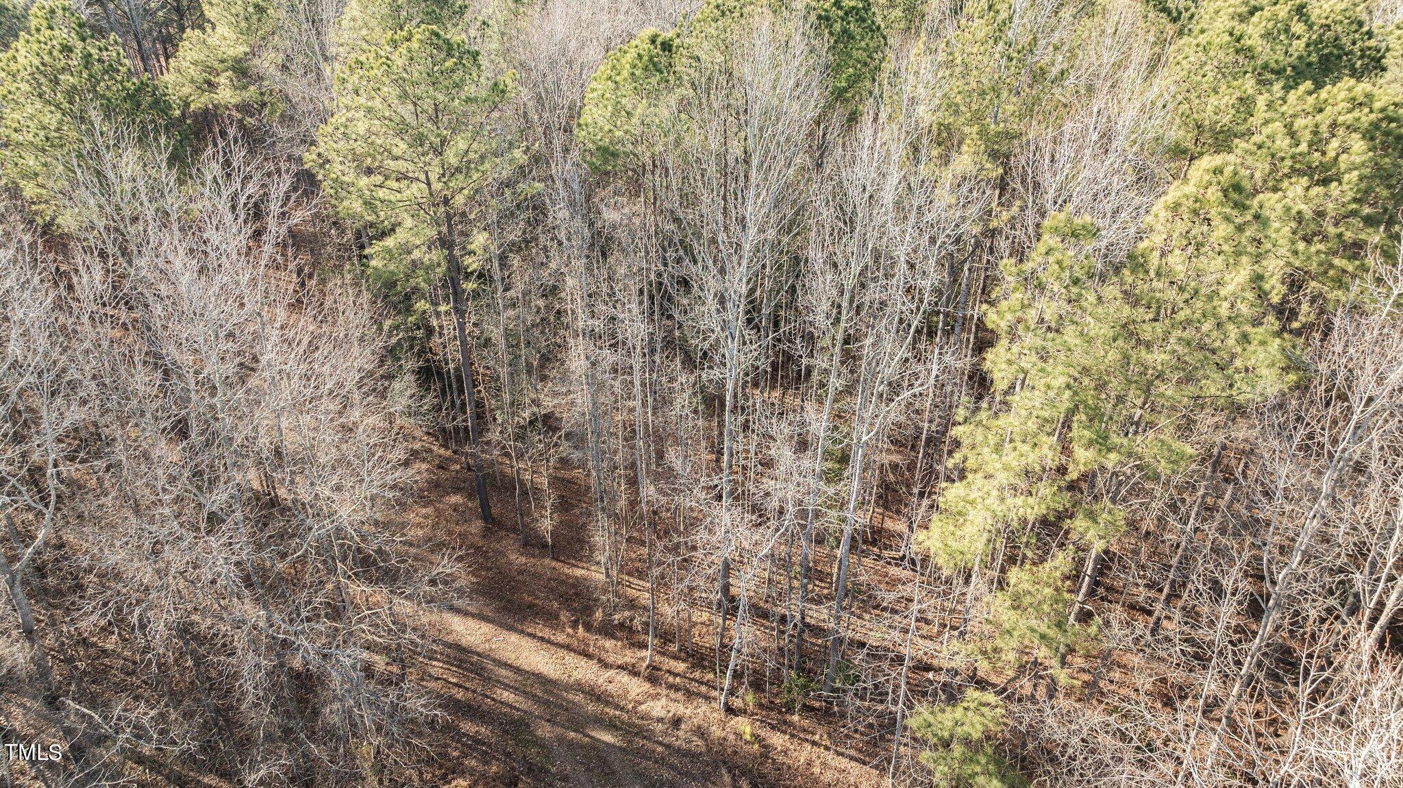 43.76 Acre Huntsburg Drive Property Photo 4